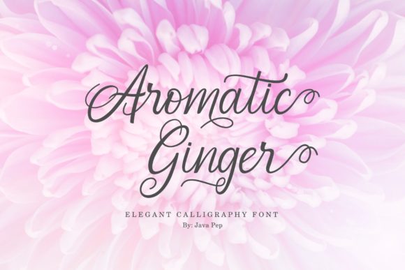 Aromatic Ginger: A Light and Elegant Font for Web Design