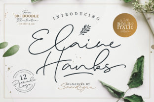 Elaine Hanks: A Font That Elevates Brand Identity
