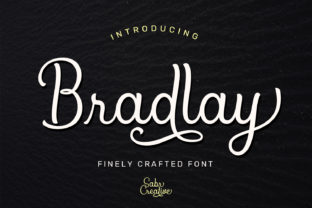 How Bradlay Font Transformed My Brand’s Visual Identity